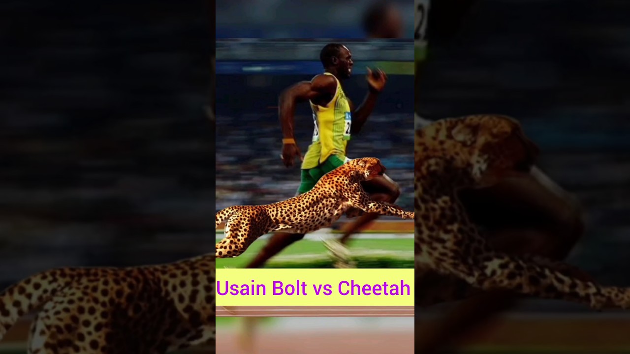 Usain Bolt vs Cheetah: Who's Faster? 🏃♂️