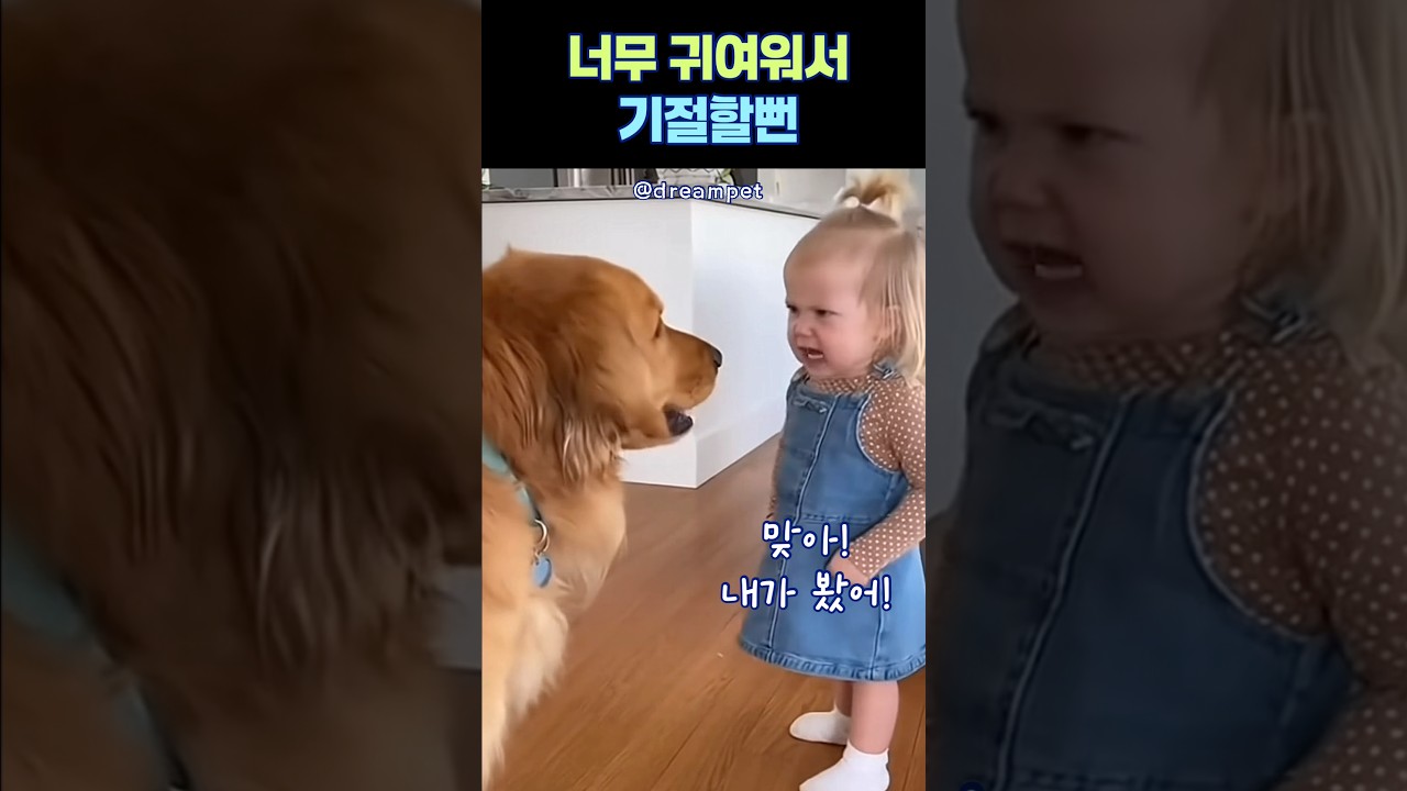 아이와 다투는 귀여운 리트리버 🐶