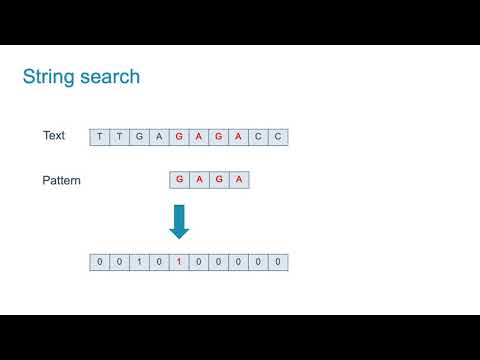 "Homomorphic string search with constant multiplicative depth" (CCSW 2020)