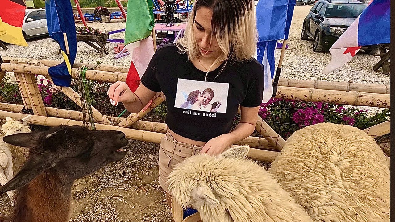 Adventures with Colombian Girlfriends at the Zoo 🐒