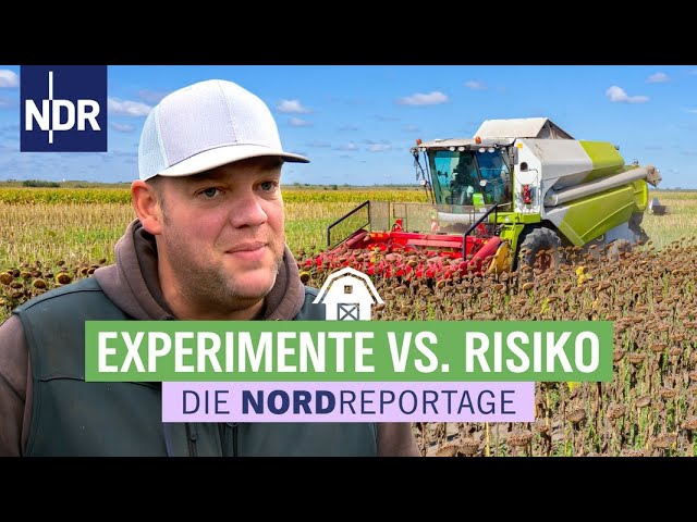 Landwirtschaft: Der faszinierende Beruf, der Träume wahrmacht 🚜 | Nordreportage NDR
