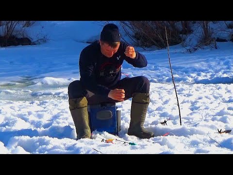 Килограммовые караси ломают мормышки! 🎣