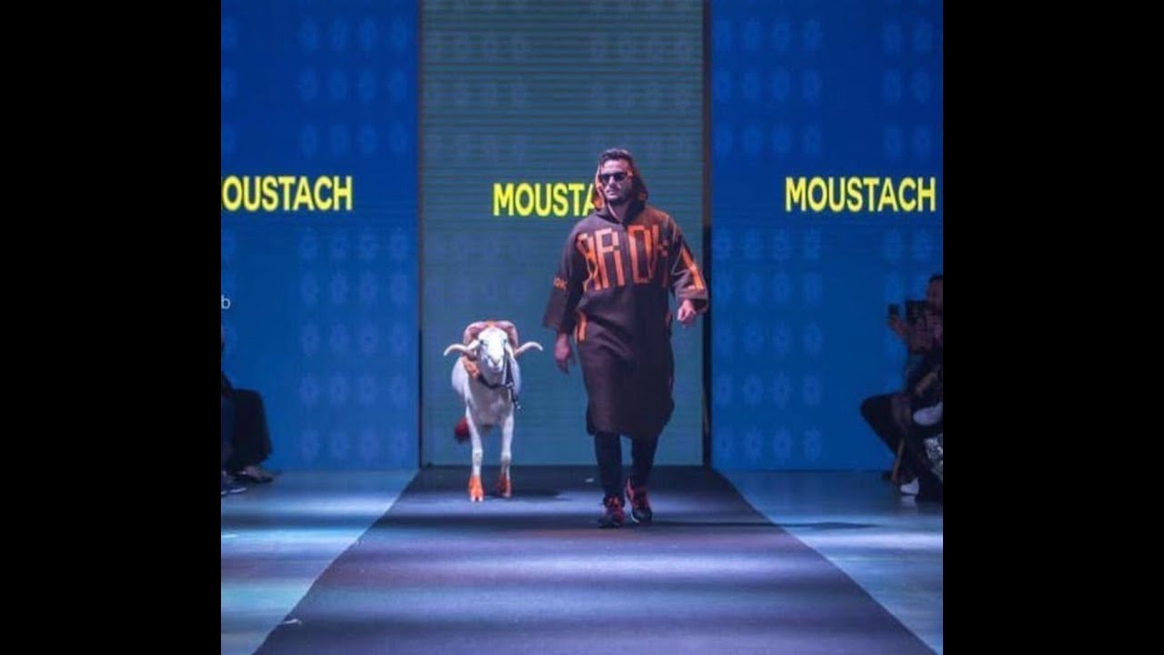 Sheep Steals Spotlight at Oran Fashion Week 🐑