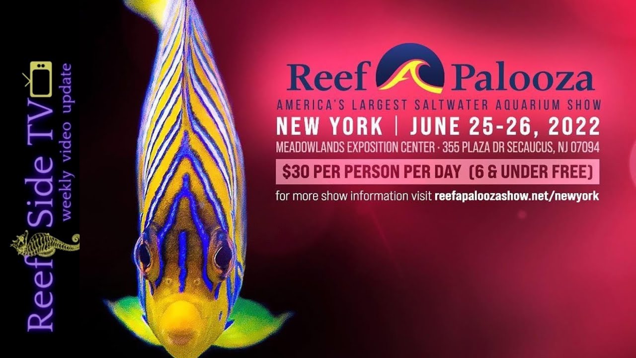 Reef A Palooza 2022: Aquarium Partners Stand 🌊