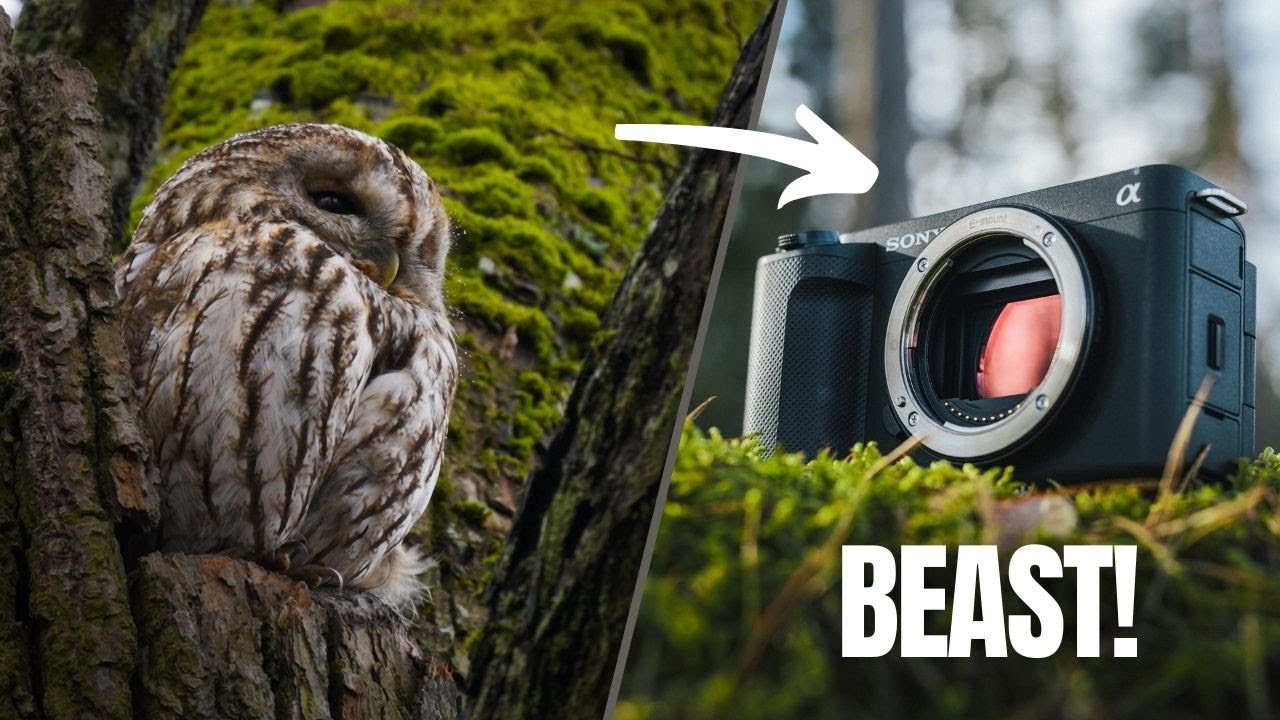 Sony ZV-E1 Review|Amazing for Nature Filming?