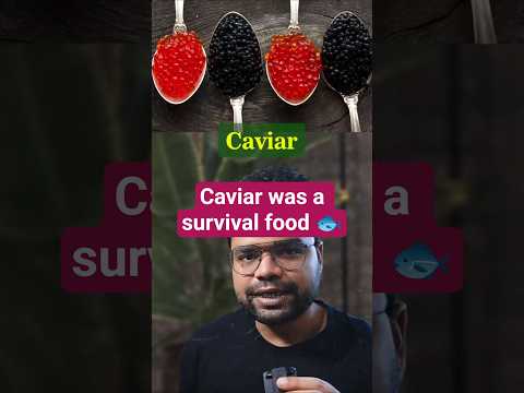 Caviar was a survival food 🐟