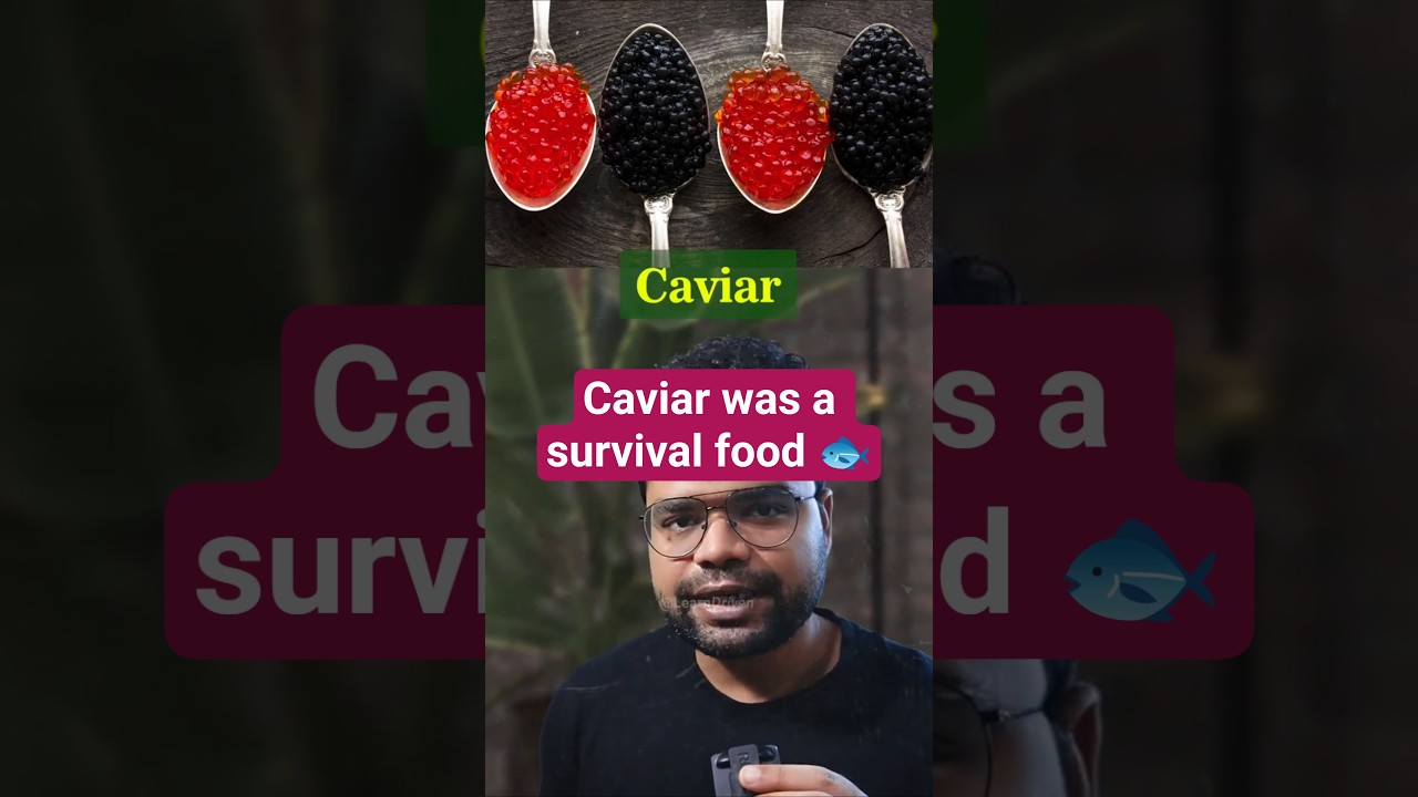 The Humble Origins of Caviar: From Survival Food to Luxury