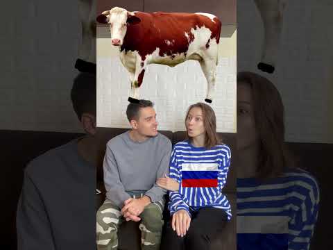 Türkçe Rusça Hayvan Sesleri