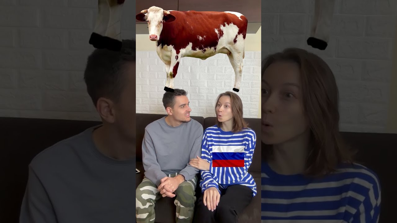 Türkçe ve Rusça Hayvan Sesleri Öğren! 🐾