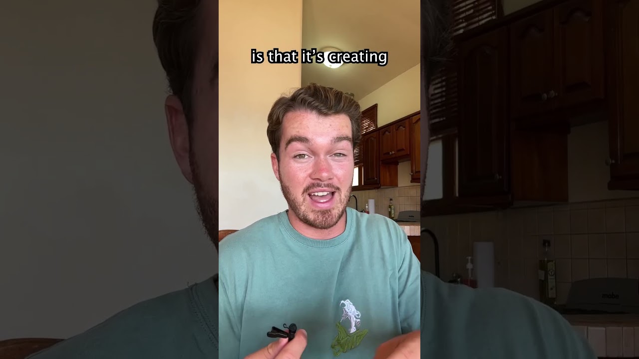 Understanding Consciousness Theory 🧠