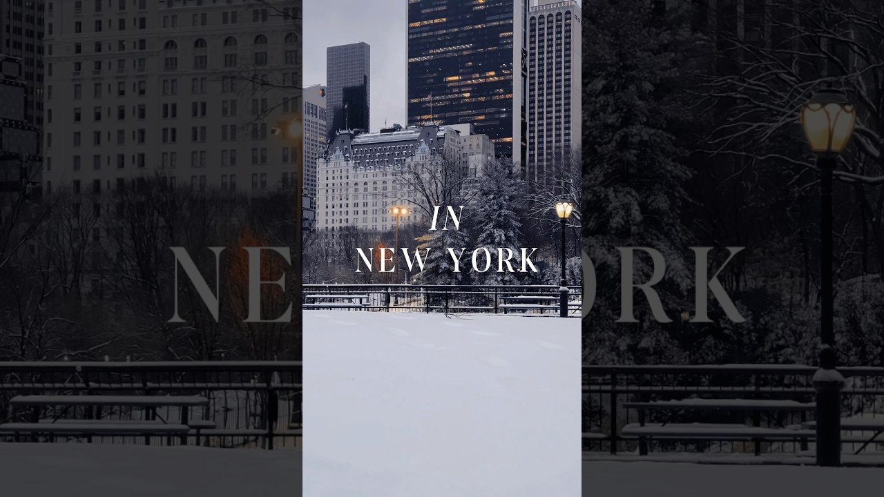 February & Snow | Day in New York  #snow #manhattan #centralpark #travel #nyc #nyclife #nycvlog