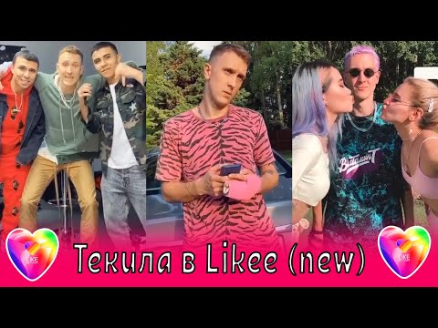 Текила в Tik Tok и Like (new) / T-killah, Миа Бойка / Синяя, На природу, Скуби Ду