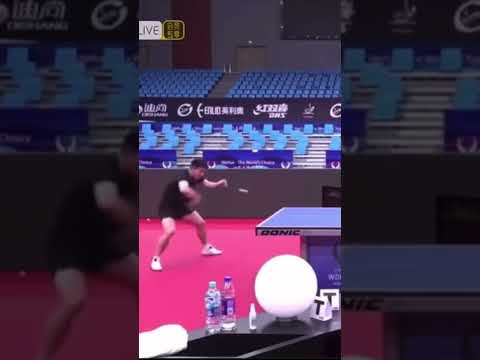 Best backhand drive practice by Fan Zhendong