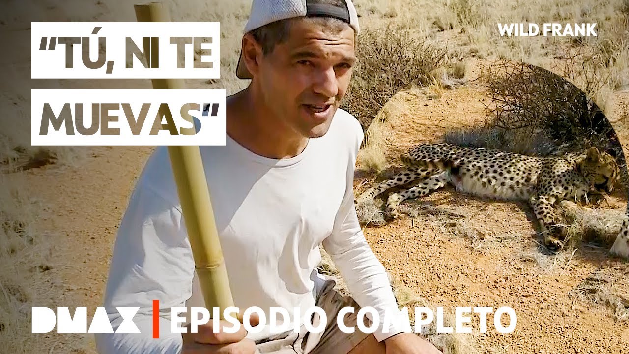 Encuentro con un guepardo en África 🐆 | Wild Frank