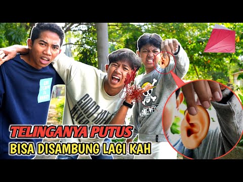 TELINGA SAPUTRA PUTUS KEN4 TALI LAYANGAN ARIK DAN BOCIL PANIK BANGET??😱 | Mikael TubeHD