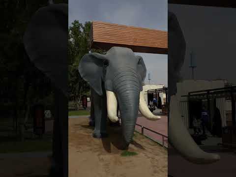 طلعتي ل حديقة الحيوانات بالرياض 😍 #اكسبلور #السعودية #الرياض