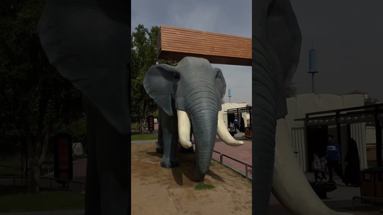 استكشاف حديقة الحيوانات في الرياض 🦁 تجربة لا تُنسى!