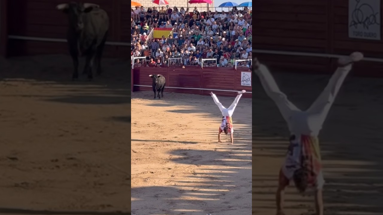 Dany Alonso Wins Benavente Cutting Contest 🏆