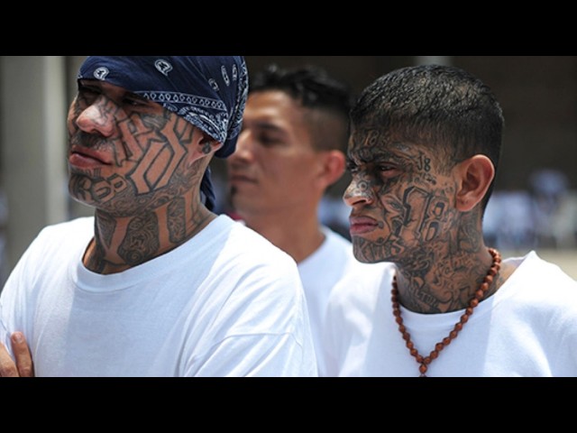 Prison : Le Gang 18 Sème la Terreur 🚨 Découvrez la Vérité sur la Colonie Pénitentiaire N°56