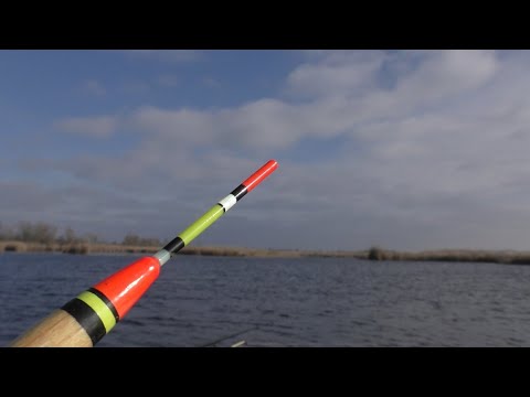 Килограммовый карась на поплавок 🎣