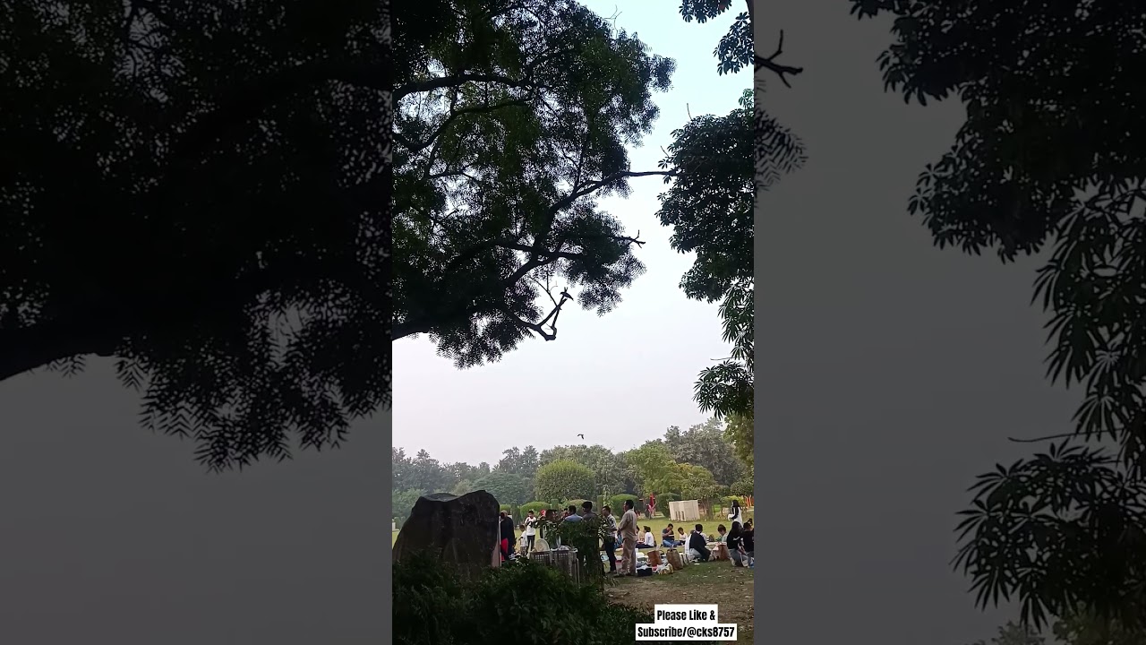 Classic 70s & 80s Hindi Songs 🎶 | Manhar Udhas & Indeevar Qurbani Hits