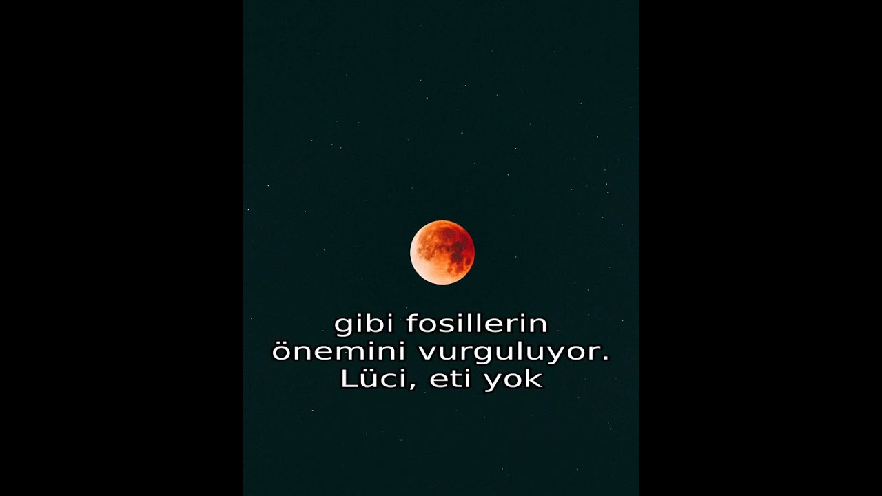 İlk İnsan Hangi Kıtada Doğdu? Güncel Bilgiler 🔥