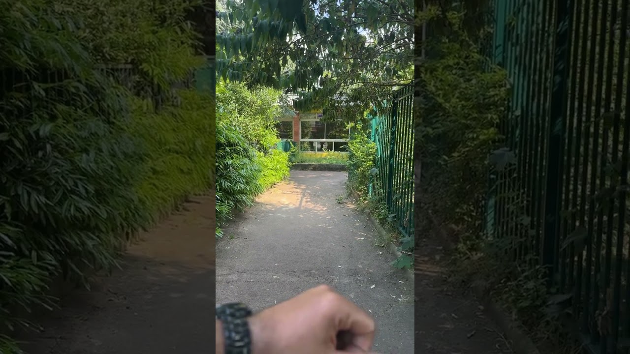 Première sortie de mon inséparable 🐦