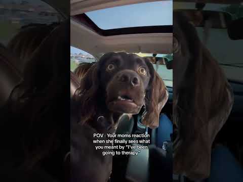 E85 is way cheaper than a therapist • • • #cargirl #cartok #confuseddog #carmemes #femaledriven #ev