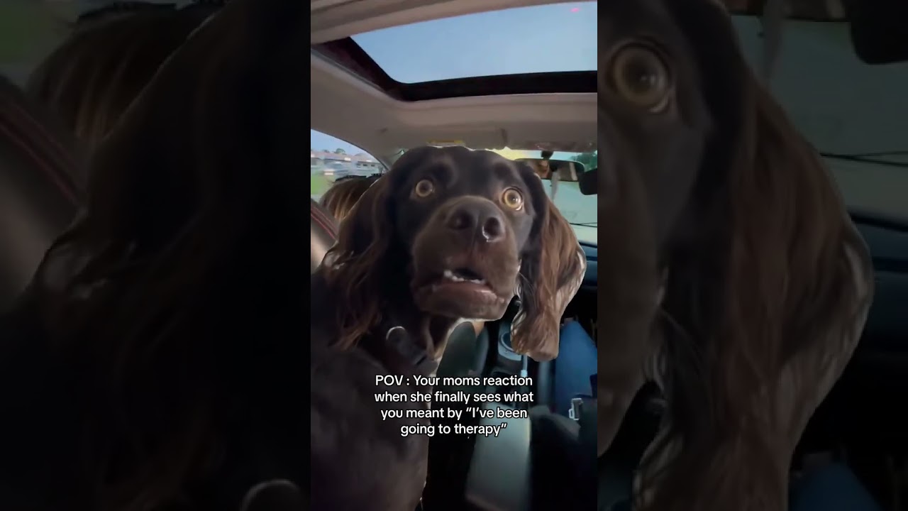 E85 Fuel vs. Therapy: Which Is More Cost-Effective? 🚗💡