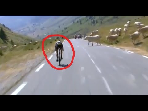 Cyclistes près du drame en pleine course 🚴‍♂️