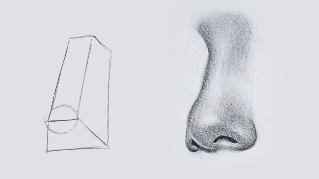 Easy Guide to Drawing a ¾ Nose 🎨