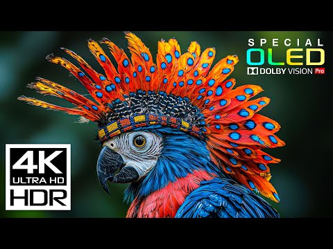 JAW-DROPPING 4K HDR 60fps | Dolby Vision (8K / 4K Video TV TEST)