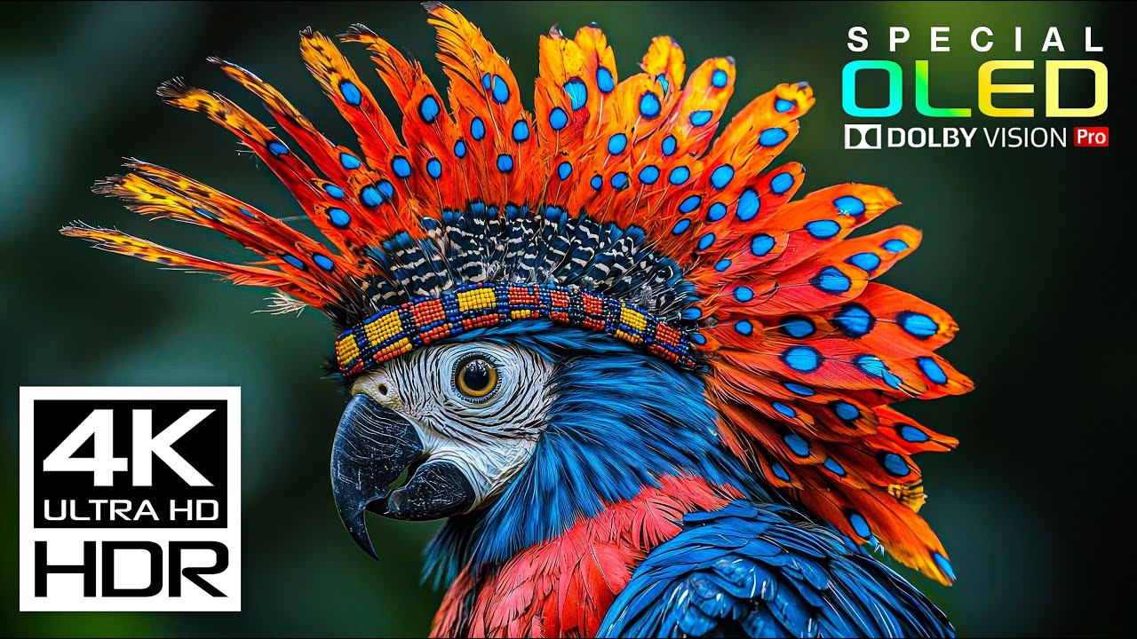 Stunning 4K HDR 60fps TV Test with Dolby Vision & Relaxing Meditation Music 🎶