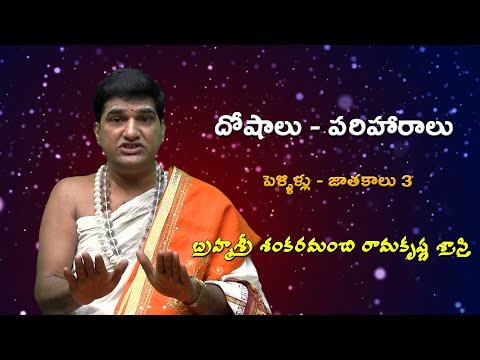 దోషాలు - పరిహారాలు ||పెళ్లిళ్లు - జాతకాలు (మూడవ భాగం)||Marriages @idambraahmam3222