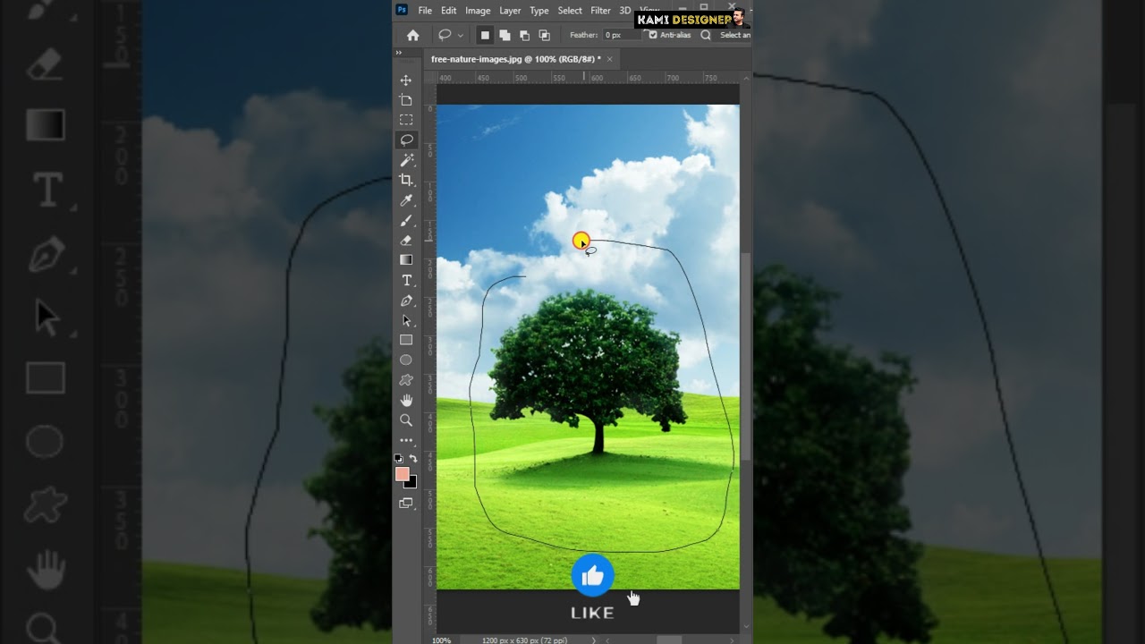 Master the Lasso Tool in Photoshop ✂️