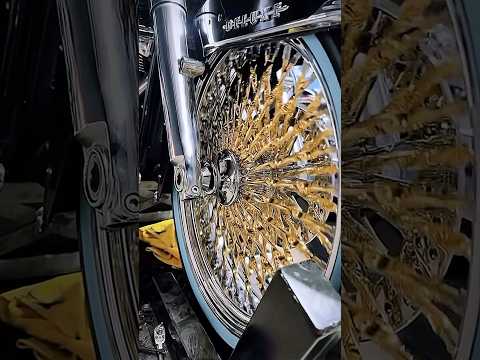 24K Gold Spoke Wheels on a Custom Softail Deluxe | DNA Specialty Summer Sale