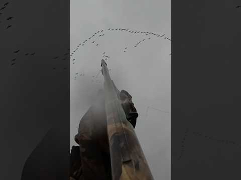 The ultimate skyblast #hunting#goosehunting#duckhunting