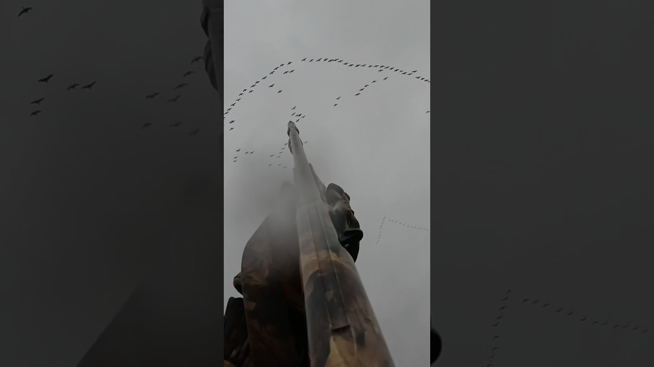 Epic Skyblast Moments: The Ultimate Goose & Duck Hunting Experience 🦆