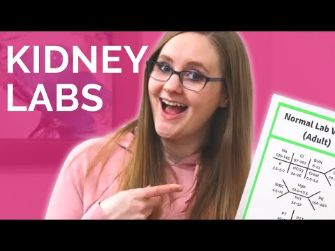 Kidney Lab Values: GFR, BUN & Creatinine Explained