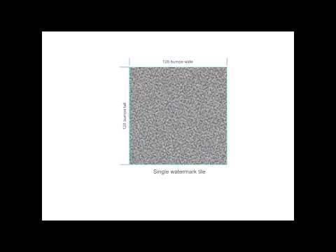 The Future of Watermarking Technology