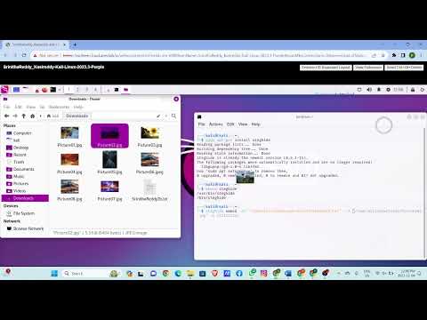 COMP 500 | Lab 7- Steganography-Hiding Data | Steghide