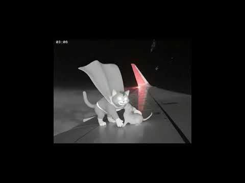 Fictional Aircraft Incident Over India | Shocking Pre-Crash Camera Footage Revealed