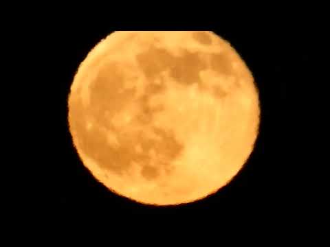 Supervollmond morgen Freitag 12. August 2022 aktuell jetzt Super Vollmond 12.08. Supermond Full Moon