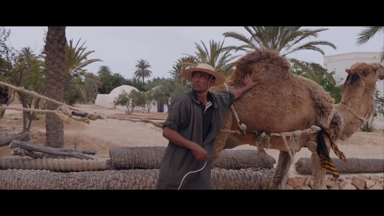 Discover How Balti Fel Barima Layam Kif Erih Can Transform Your Day 🌟