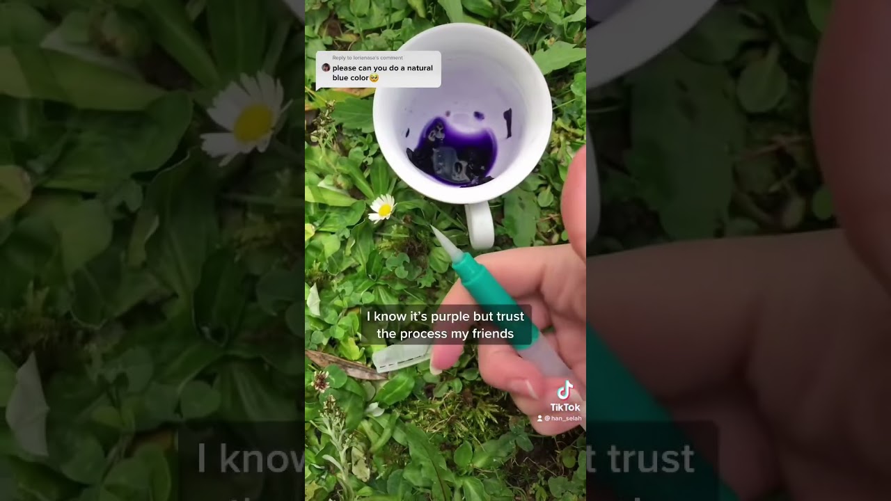Create Natural Blue Paint from Garden Flowers 🎨