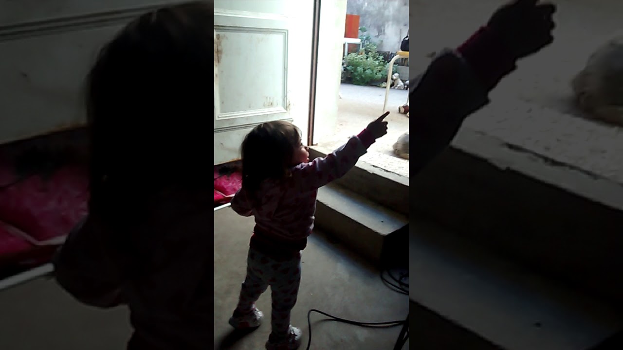 ¡Cata Bailando Chu Chu Wa! 🎶 Mira su Divertido Baile