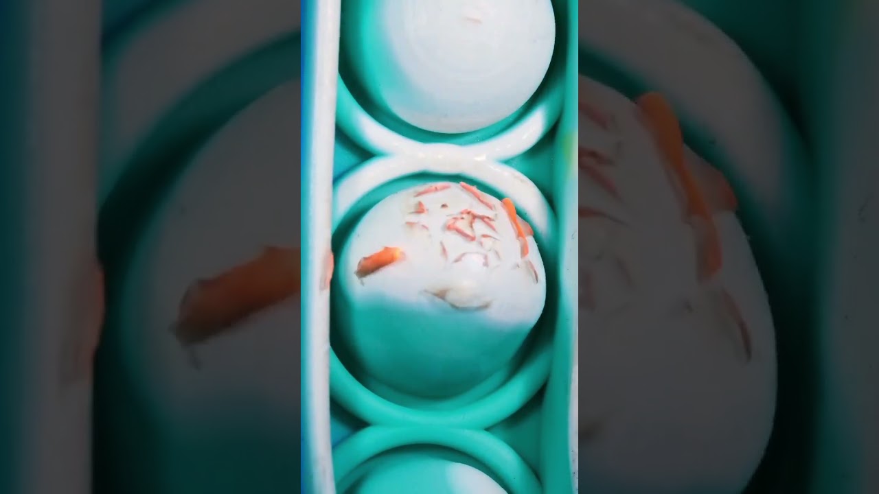 Object Videos 🎥 | ASMR & Macro Shots