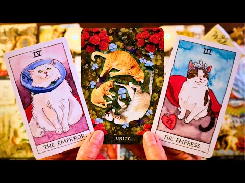 THEY’RE CHOOSING YOU!! A NEW BEGINNING!! ❤️ LOVE TAROT