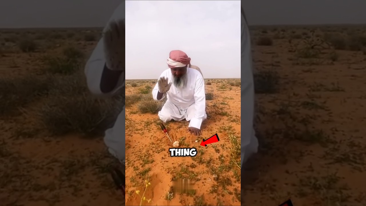 Desert Truffle Could Make You a Millionaire 💰