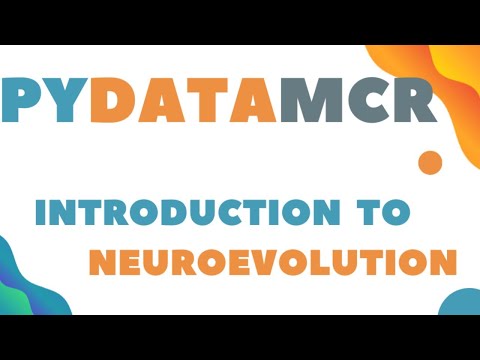 PyDataMCR - An Introduction to Neuroevolution